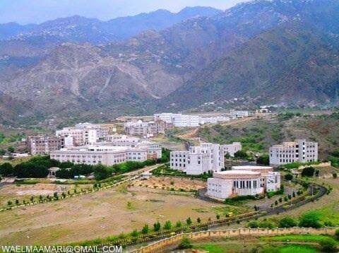 جامعة تعز